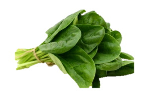 Spinach PNG-79146